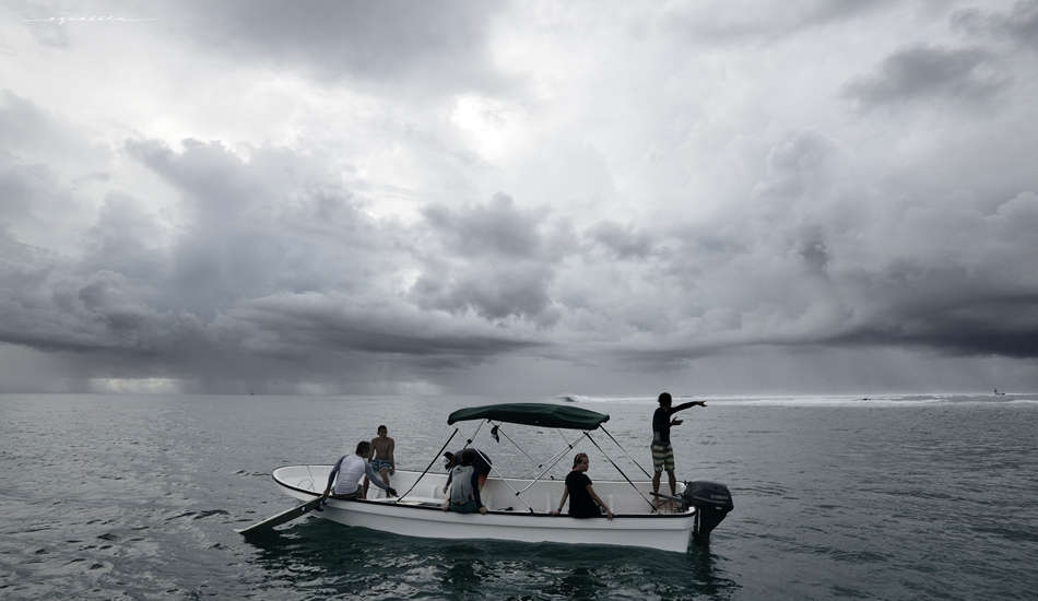 The search continues. Photo:<a href=\"https://aquaseen.com/\">Matt Shepherd</a>