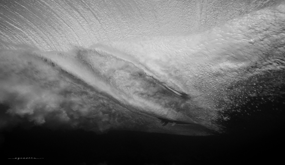 Back to basics. Photo:<a href=\"https://aquaseen.com/\">Matt Shepherd</a>