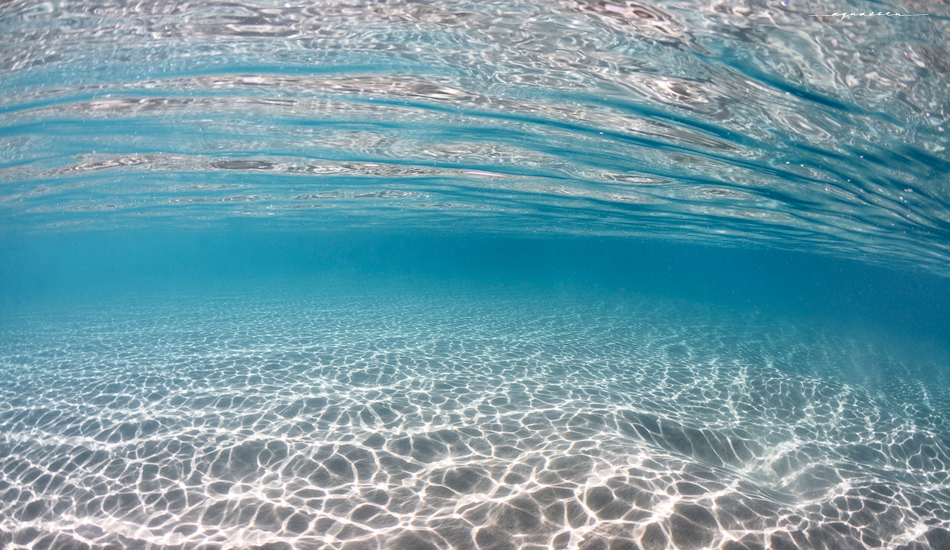 Convex. Photo:<a href=\"https://aquaseen.com/\">Matt Shepherd</a>