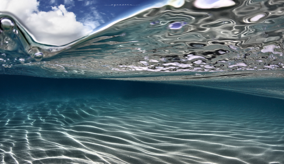 Warped. Photo:<a href=\"https://aquaseen.com/\">Matt Shepherd</a>