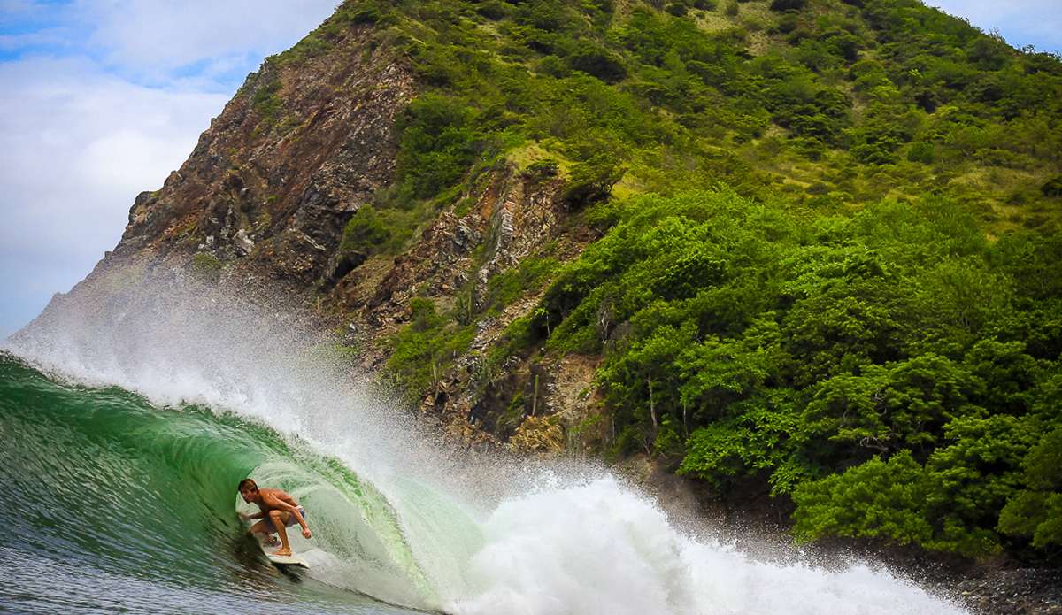 Welcome to the jungle.