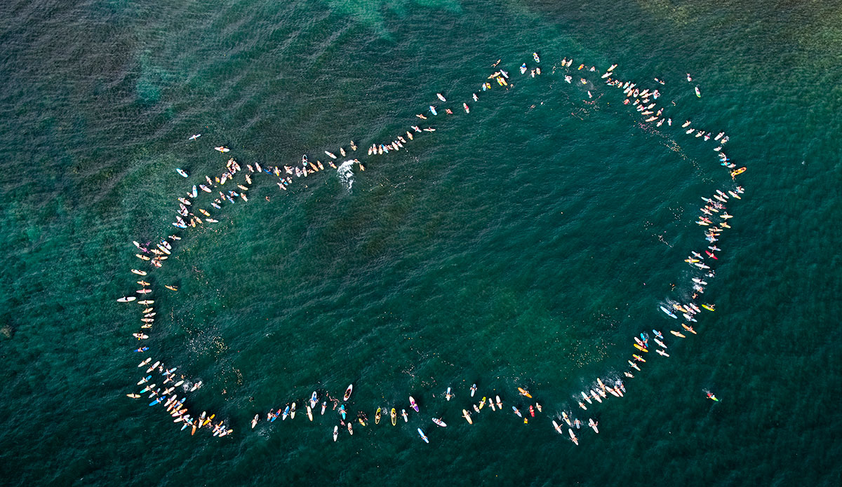 Photo: <a href=\"https://www.instagram.com/black_sheep_cinema/\">Phil Sobolev</a>