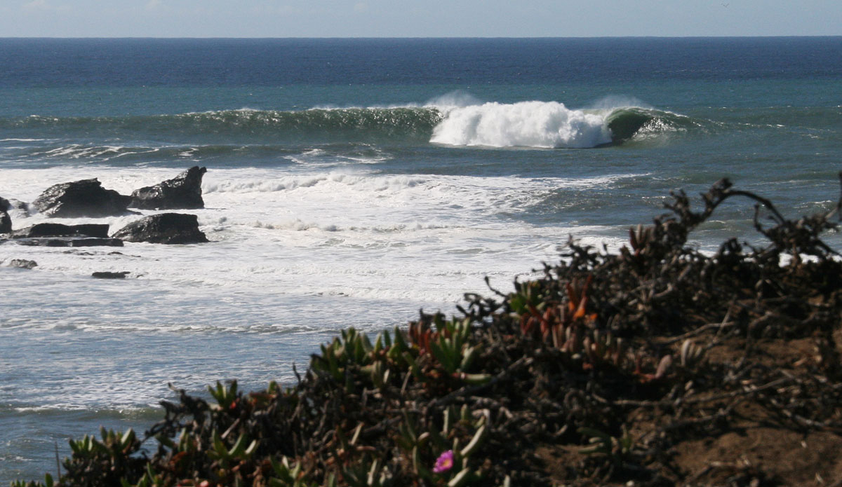 Empty Mavericks. Photo: <a>Shannon Marie Quirk</a>