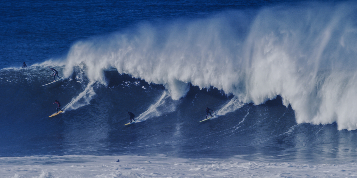 Photo: @thegobigproject @livefromthechannel