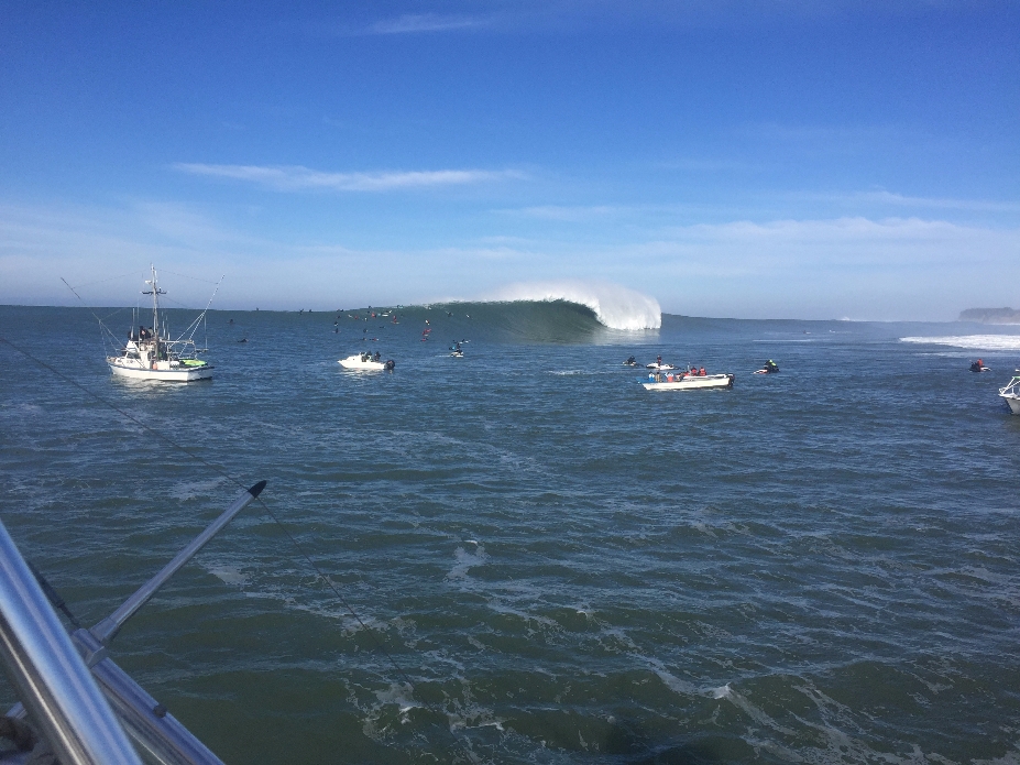 Photo: @thegobigproject @livefromthechannel