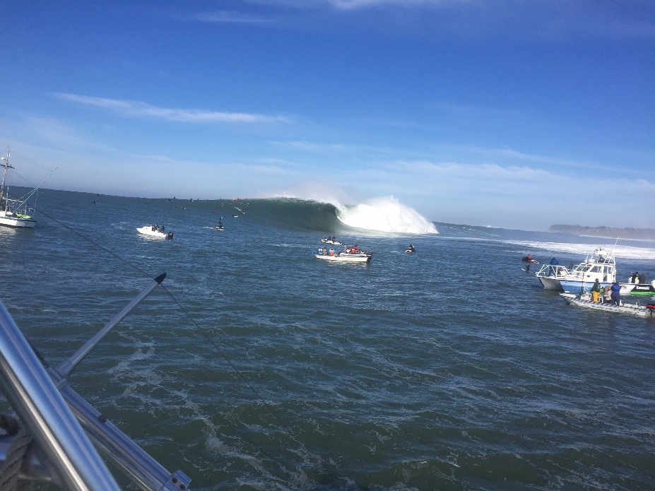 Photo: @thegobigproject @livefromthechannel