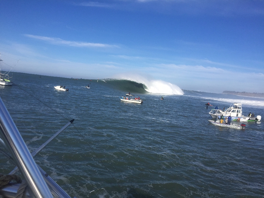 Photo: @thegobigproject @livefromthechannel