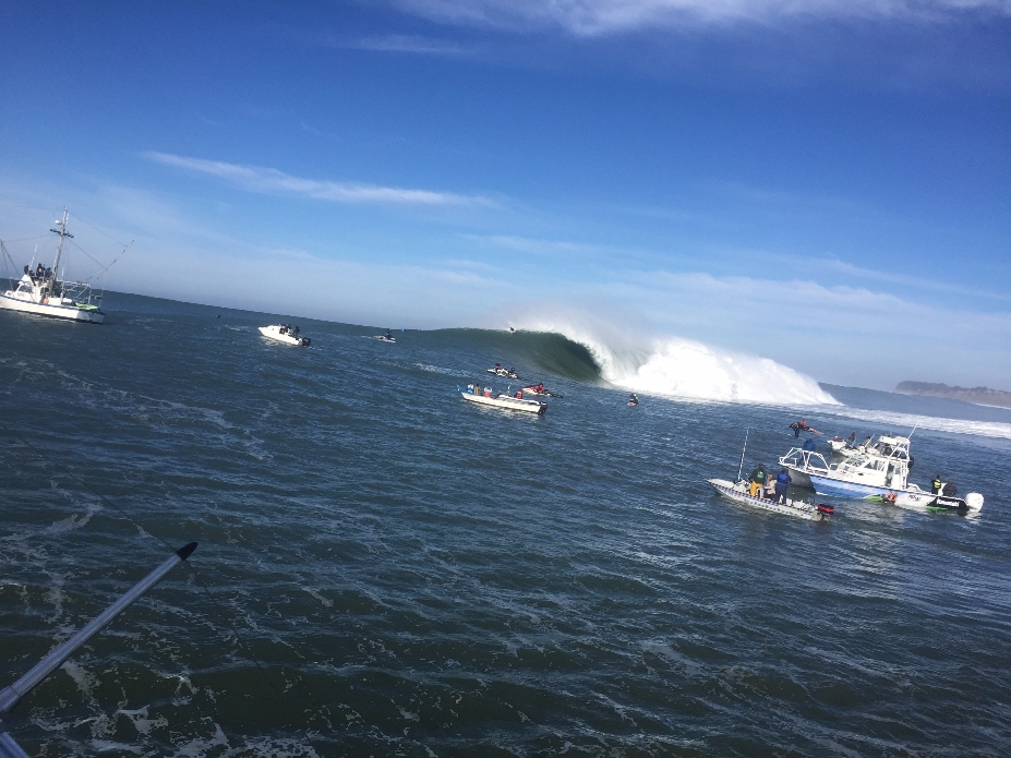 Photo: @thegobigproject @livefromthechannel