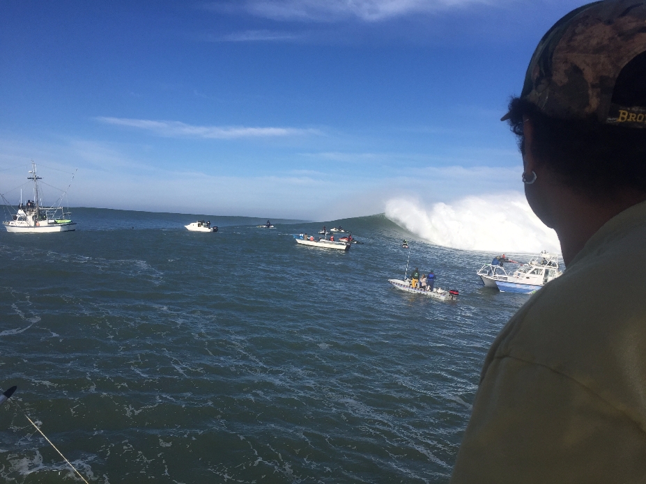 Photo: @thegobigproject @livefromthechannel