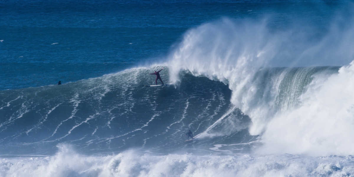 Photo: @thegobigproject @livefromthechannel