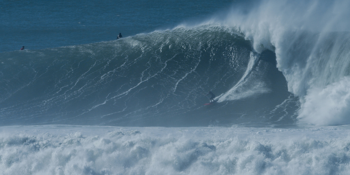 Photo: @thegobigproject @livefromthechannel