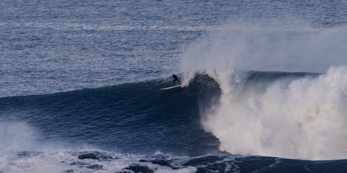 Photo: @thegobigproject @livefromthechannel