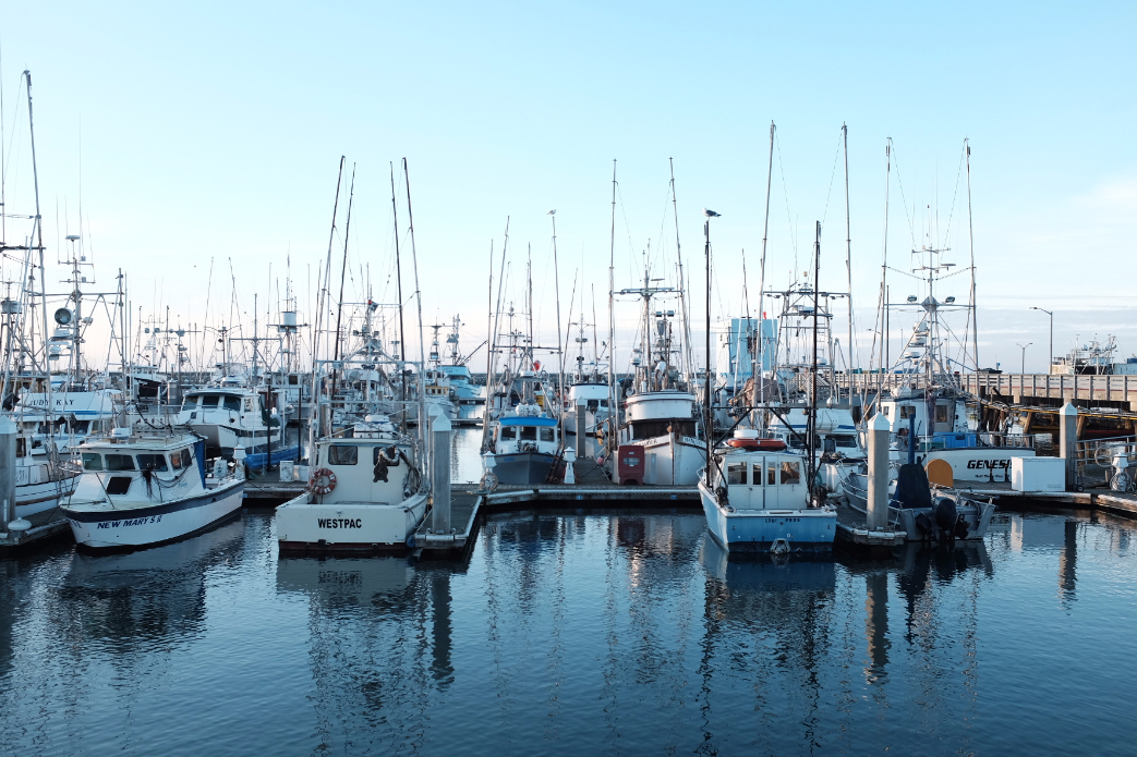 Photo: @thegobigproject @livefromthechannel