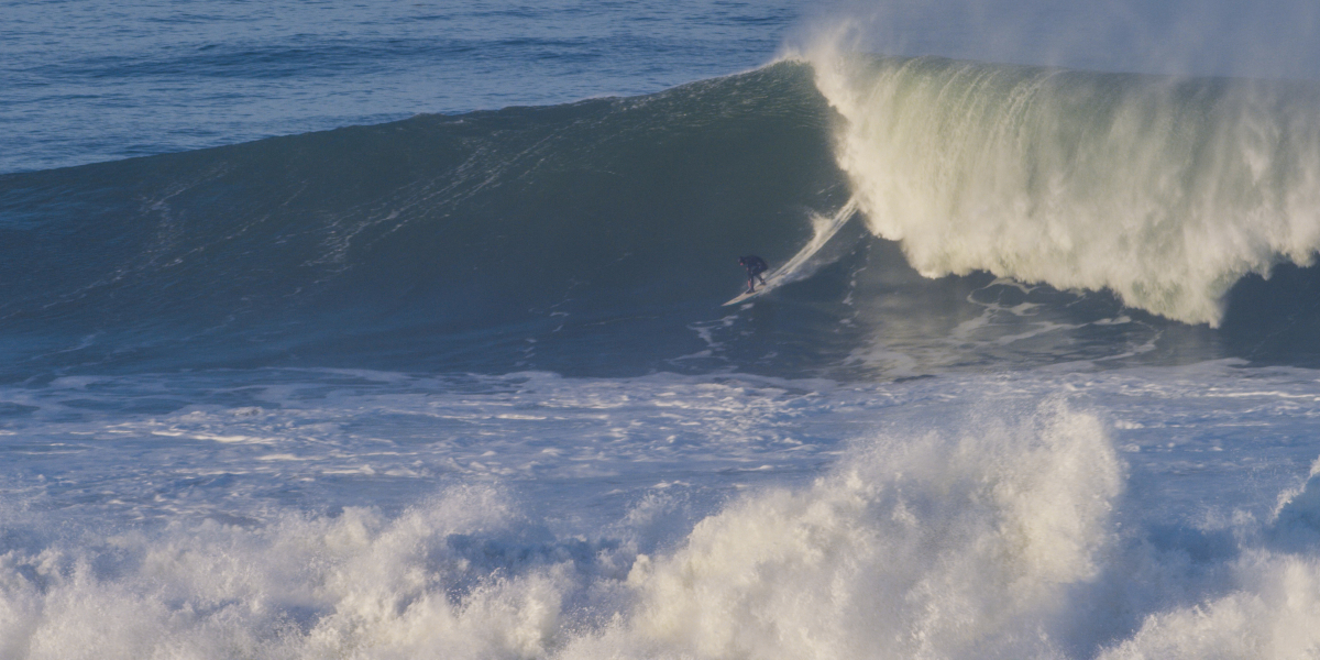 Photo: @thegobigproject @livefromthechannel