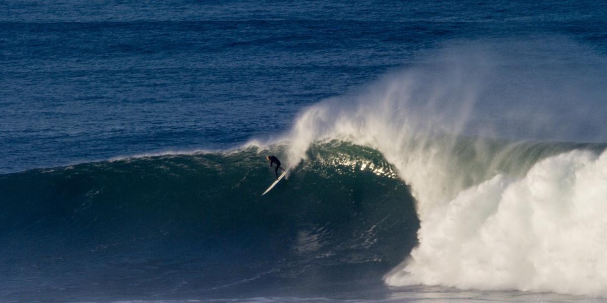 Photo: @thegobigproject @livefromthechannel