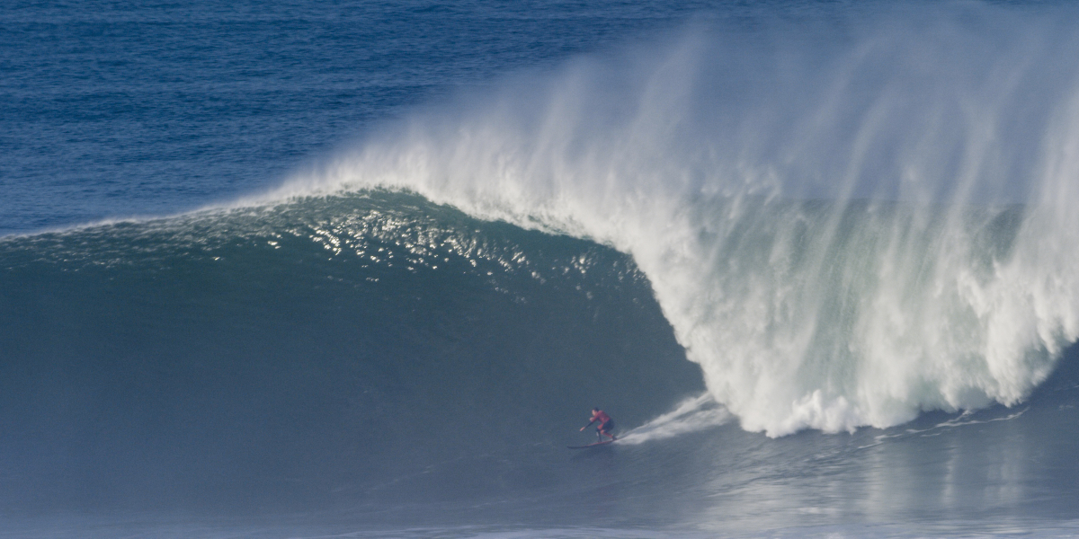 Photo: @thegobigproject @livefromthechannel