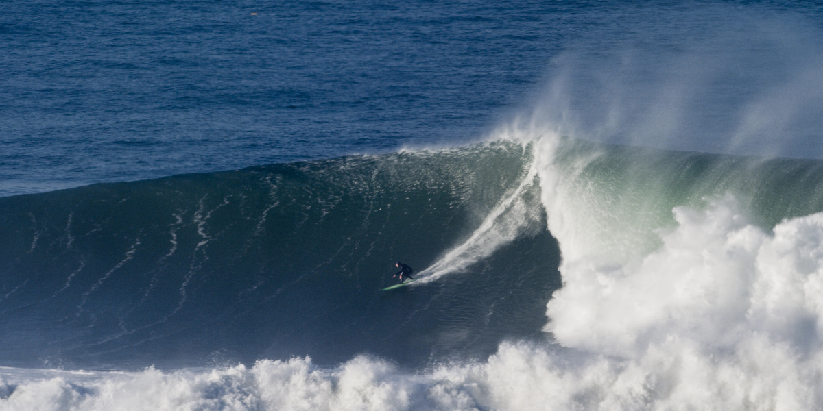 Photo: @thegobigproject @livefromthechannel