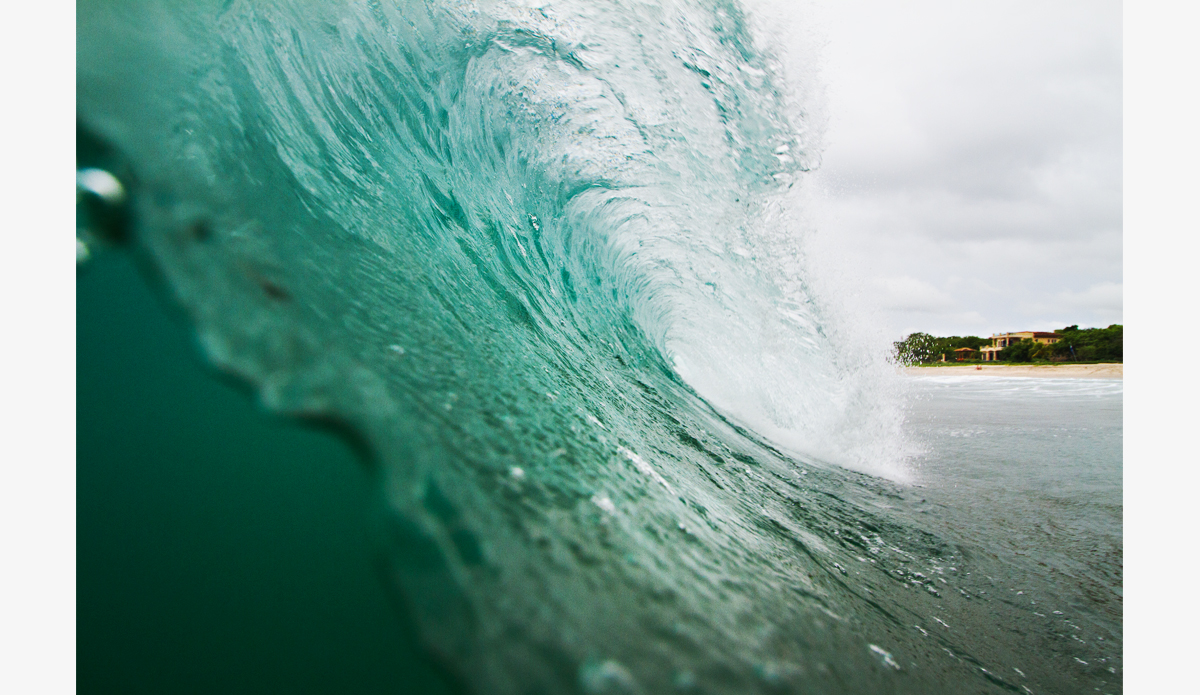 Big or small, is there really anything better? Photo: <a href=\"https://www.maxxbuchanan.com/\">Maxx Buchanan</a>