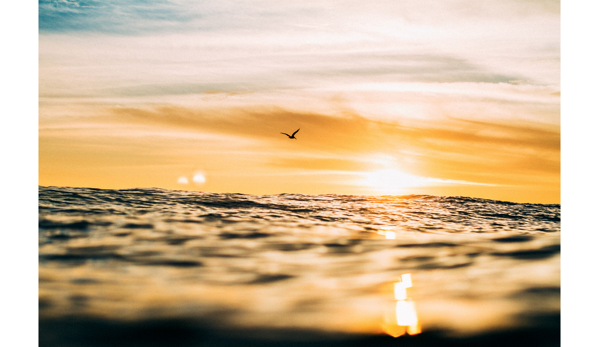 Tomorrow is another day. Make the most of it. Photo: <a href=\"https://instagram.com/maxxbuchanan\">Maxx Buchanan</a>