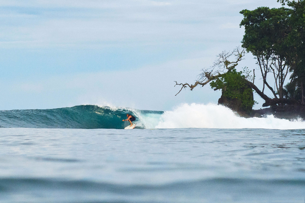 Photo: <a href=\"https://www.shootingdownthebarrel.com/\">Nico Palacios</a>