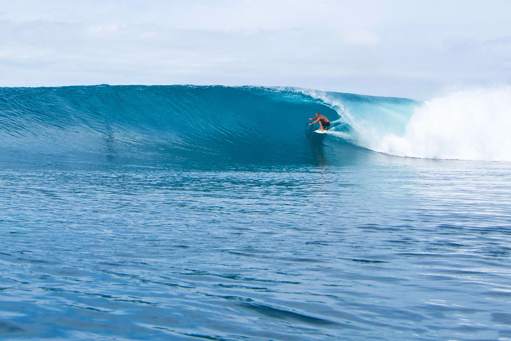 Photo: <a href=\"https://www.shootingdownthebarrel.com/\">Nico Palacios</a>