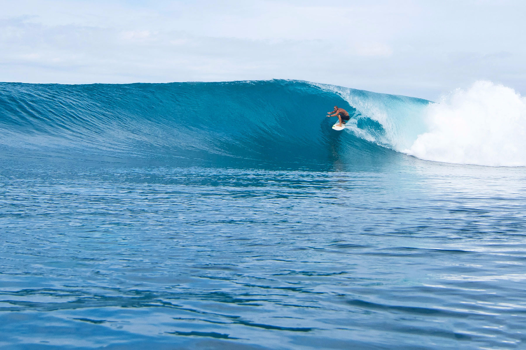 Photo: <a href=\"https://www.shootingdownthebarrel.com/\">Nico Palacios</a>