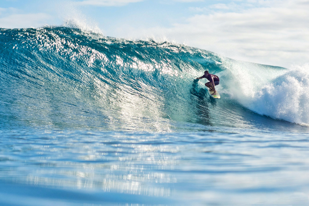 Photo: <a href=\"https://www.shootingdownthebarrel.com/\">Nico Palacios</a>