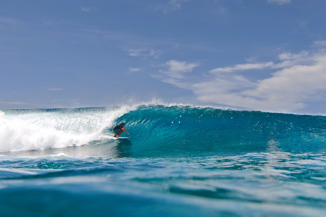 Photo: <a href=\"https://www.shootingdownthebarrel.com/\">Nico Palacios</a>