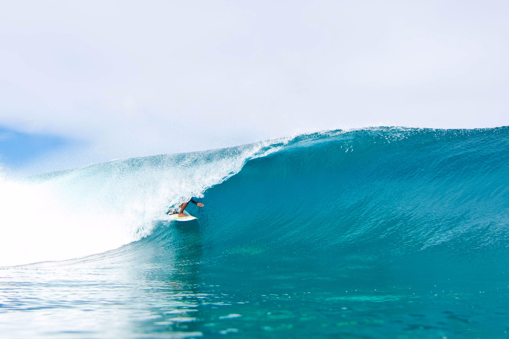 Photo: <a href=\"https://www.shootingdownthebarrel.com/\">Nico Palacios</a>