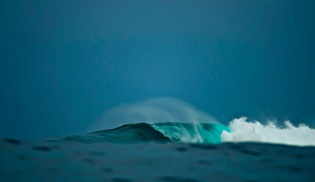 Near the guts of a monster. Photo: <a href=\"https://www.shootingdownthebarrel.com/\">Nico Palacios</a>