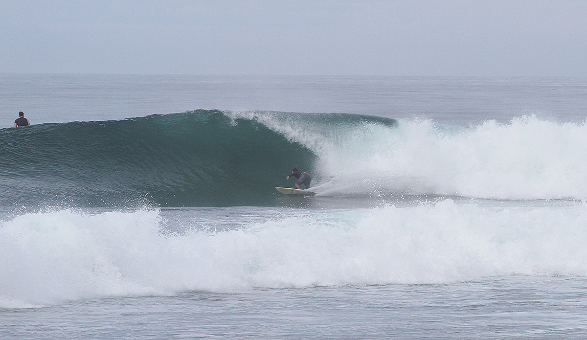 Photo: Daniela Caram