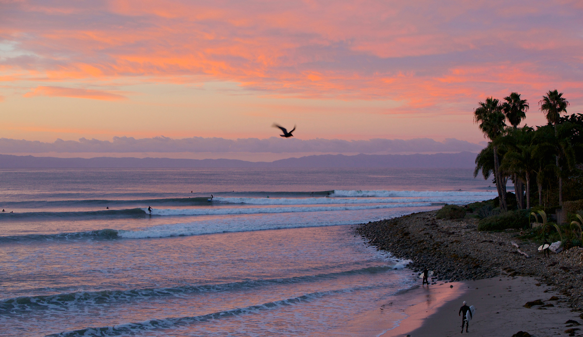 Rincon. Photo: <a href=\"https://instagram.com/mfarkas\">@mfarkas</a>