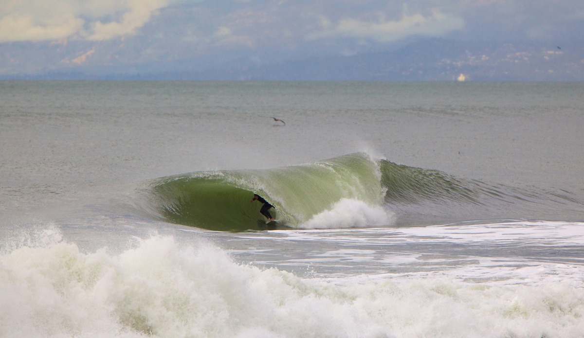 Ventura. Photo: <a href=\"https://instagram.com/mfarkas\">@mfarkas</a>