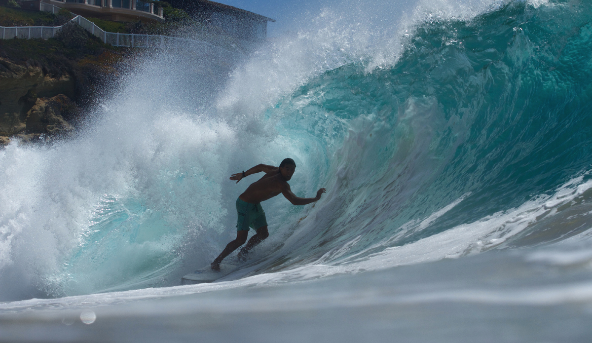 Watty again. Photo: Adam Bakkedahl