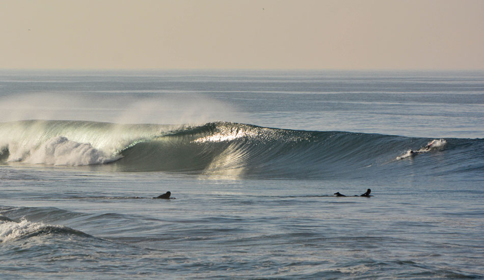 Face full. Photo: <a href=\"https://www.mikearonesty.com\">Mike Aronesty</a>