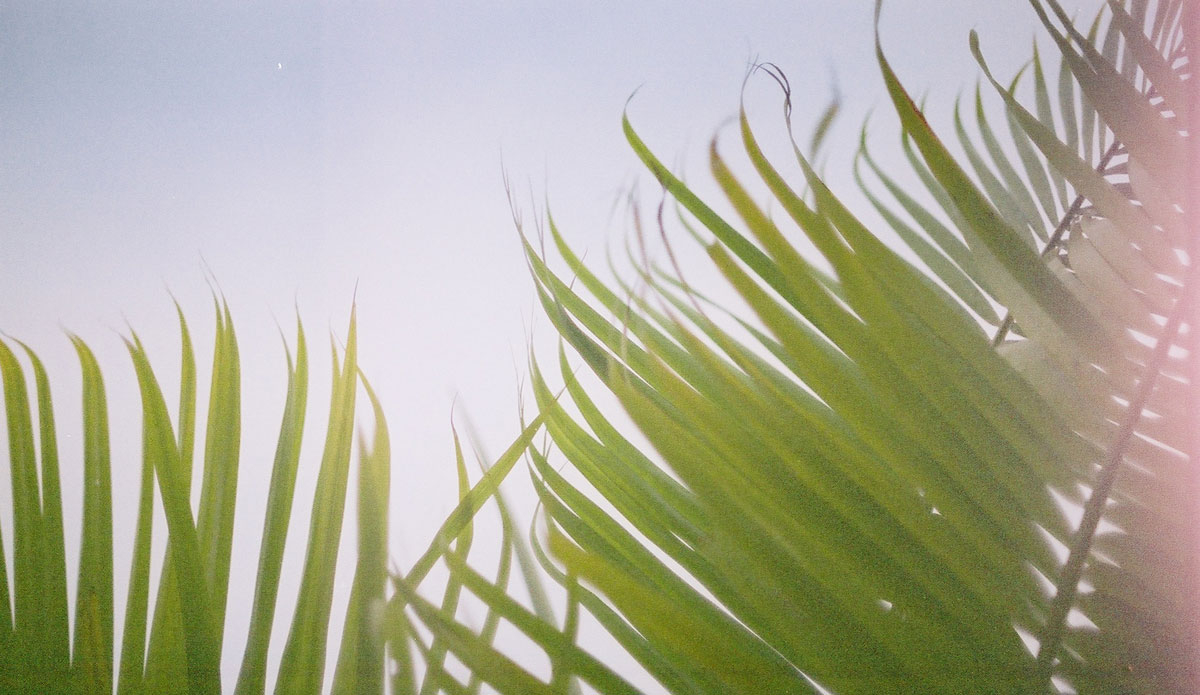 Photo: <a href=\"https://www.alohabigmike.com/\">Mike Caputo</a>