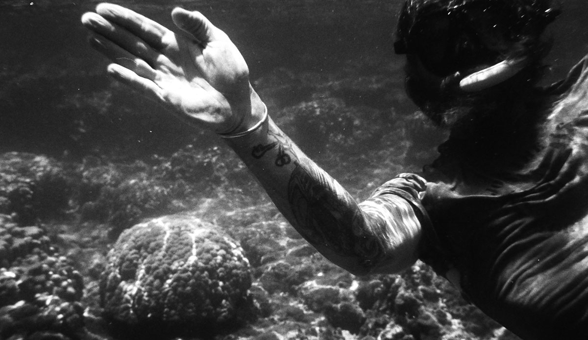 Photo: <a href=\"https://www.alohabigmike.com/\">Mike Caputo</a>