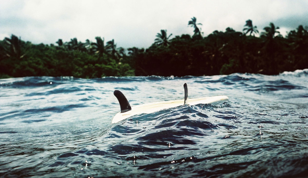 Photo: <a href=\"https://www.alohabigmike.com/\">Mike Caputo</a>