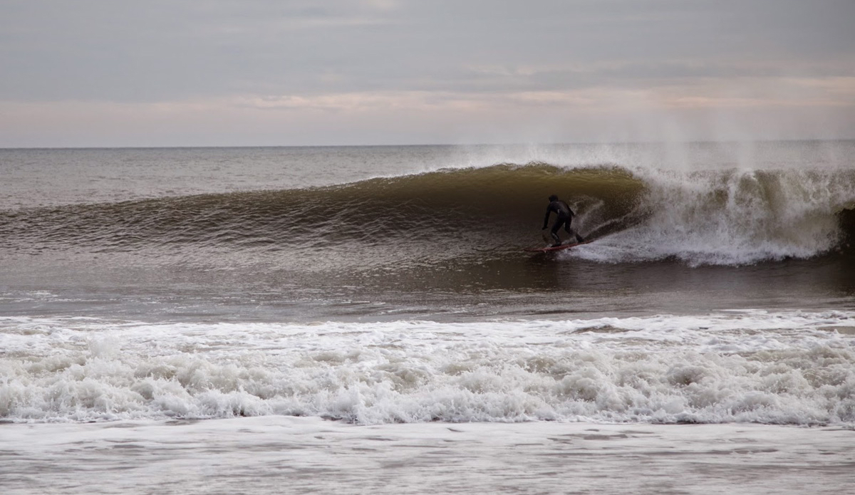 Photo: <a href=\"https://www.michaelguccione.smugmug.com\">MichaelGuccione</a>