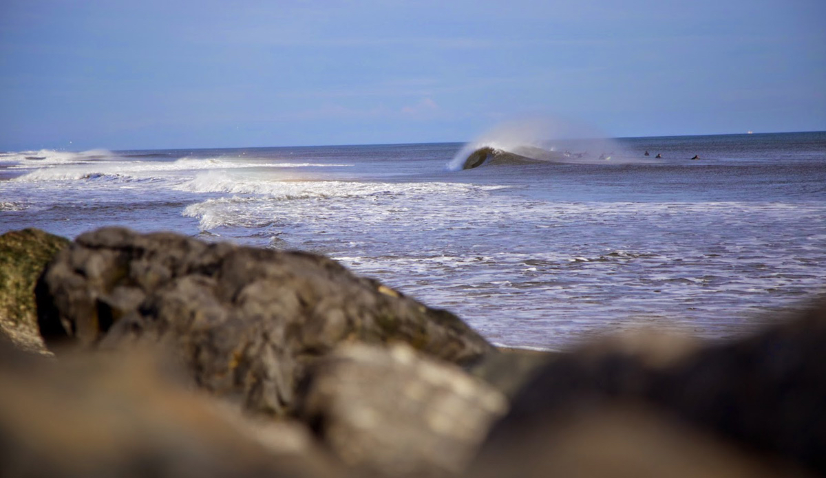 Photo: <a href=\"https://www.michaelguccione.smugmug.com\">MichaelGuccione</a>