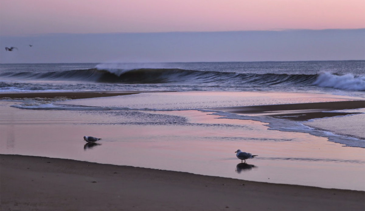 Photo: <a href=\"https://www.michaelguccione.smugmug.com\">MichaelGuccione</a>