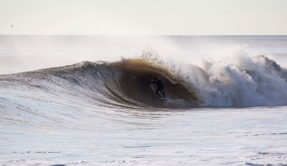 Luke Ditella. Photo: <a href=\"https://www.mikeincittiphotography.com\" target=_blank>Mike Incitti</a>