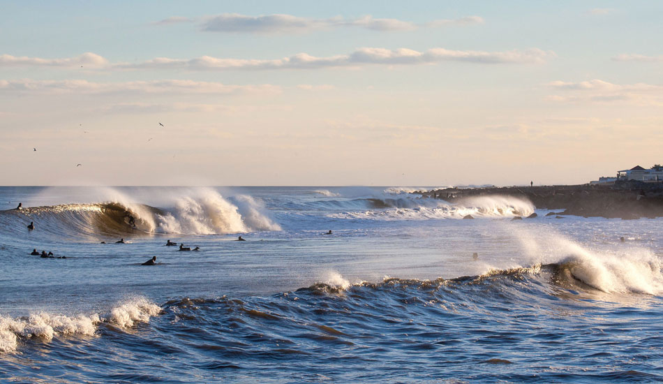 Luke Ditella. Photo: <a href=\"https://www.mikeincittiphotography.com\" target=_blank>Mike Incitti</a>