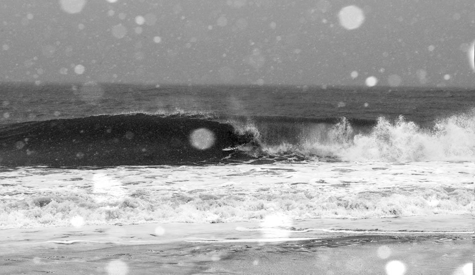 Tom Petriken. Photo: <a href=\"https://www.mikeincittiphotography.com\" target=_blank>Mike Incitti</a>