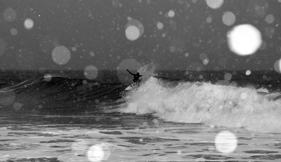 Tom Petriken. Photo: <a href=\"https://www.mikeincittiphotography.com\" target=_blank>Mike Incitti</a>