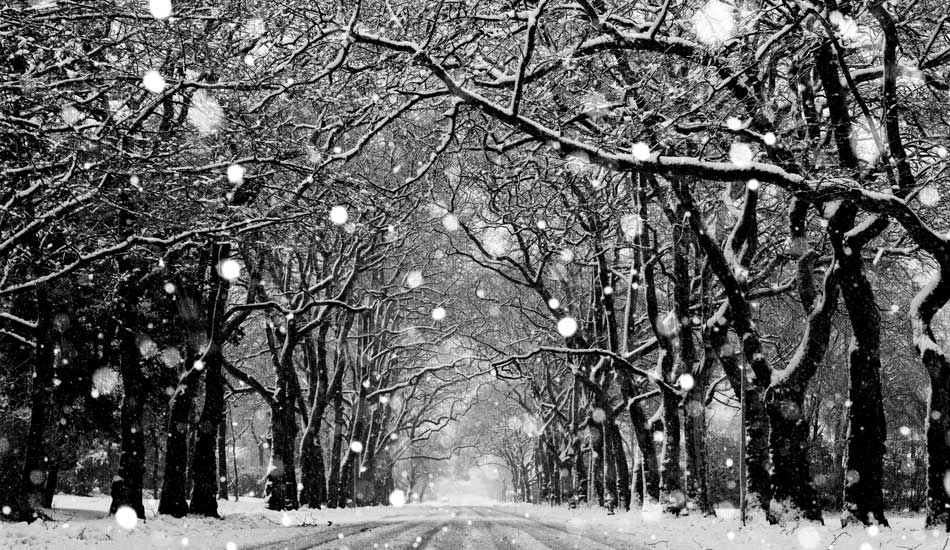This photo was taken on the street I live on after I received a text message that my university was closed. Photo: <a href=\"https://www.mikeincittiphotography.com\" target=_blank>Mike Incitti</a>
