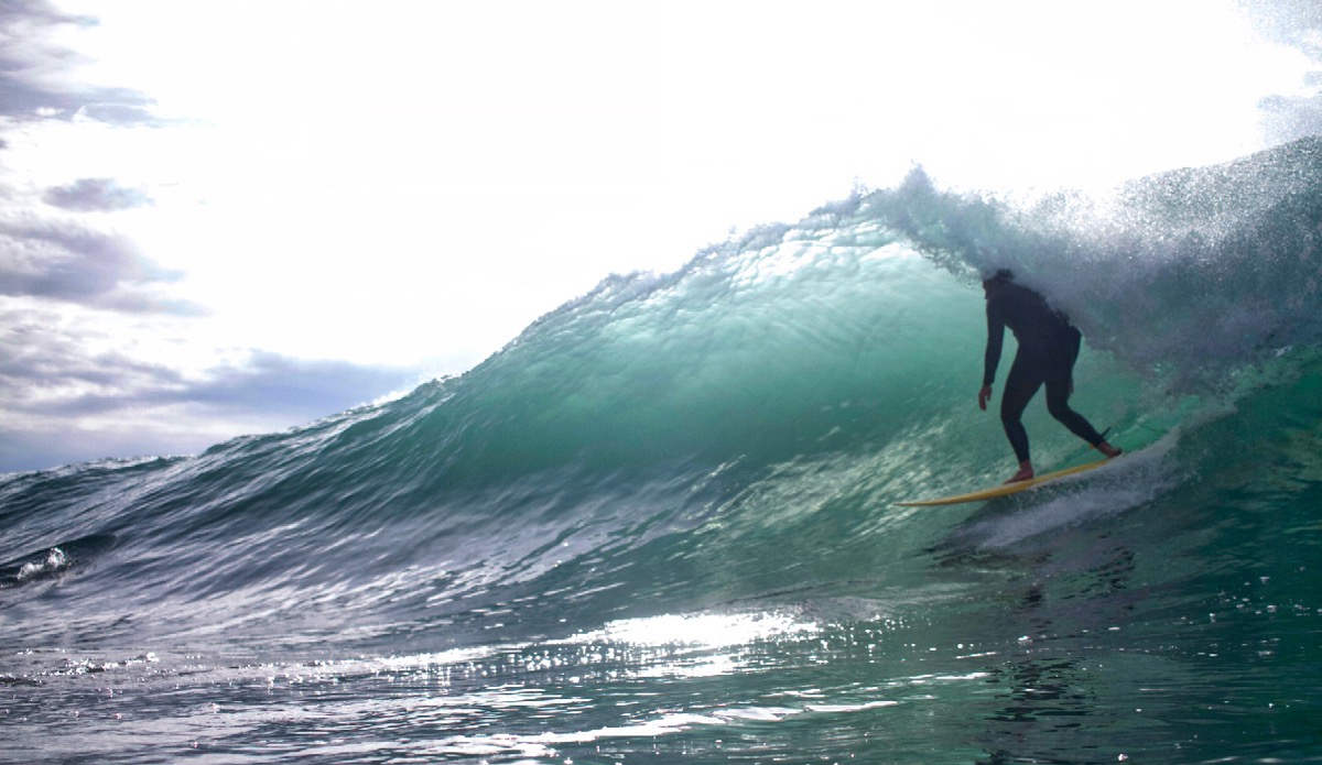 Photo: Milano Walker