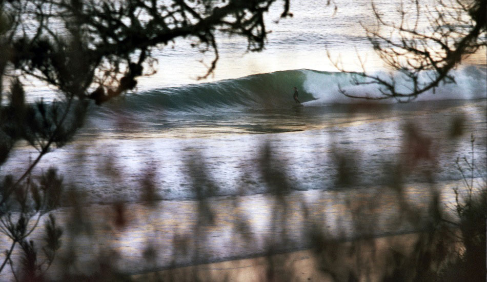 Creepy angles and stylish bottom turns are always a good combo. Photo: <a href=\"https://www.milesjackler.com\">Miles Jackler</a>