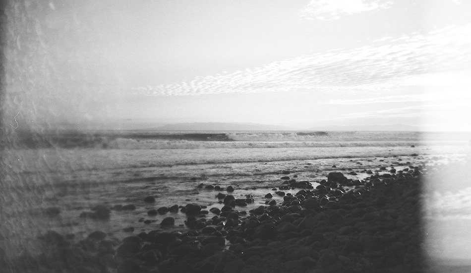 Perfection captured through an imperfection. The Queen still shines. Photo: <a href=\"https://www.milesjackler.com\">Miles Jackler</a>