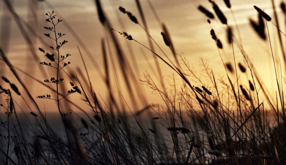 When searching for surf, it\'s always good to stop and get a fresh perspective. Last light after a long day of sliding. Photo: <a href=\"https://www.milesjackler.com\">Miles Jackler</a>